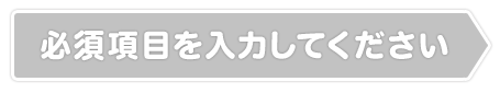 必須項目を選択してください
